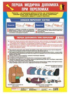 Плакат. Перша медична допомога при переломах y07633 фото