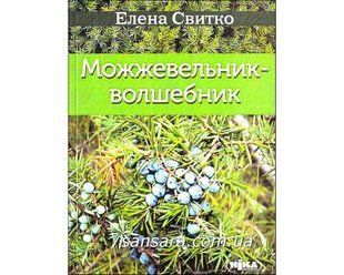Книга Можжевельник - волшебник (Свитко Елена) 9748 фото