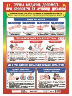 Плакат. Перша медична допомога при кровотечі та зупинці дихання y07634 фото