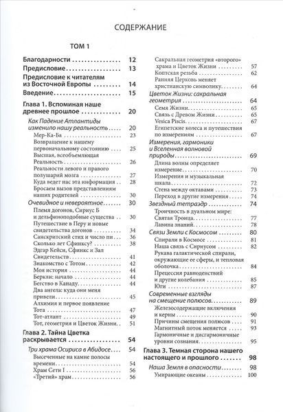 Древняя Тайна Цветка Жизни (Мельхиседек Друнвало) 1827 фото