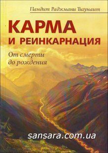 Книга Карма и реинкарнация. От смерти до рождения (Тигунайт Пандит Раджмани) 10866 фото