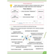 Інформатика 3 клас Робочий зошит (НУШ) (Андрусич О.) y10386 фото 5