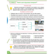 Інформатика 3 клас Робочий зошит (НУШ) (Андрусич О.) y10386 фото 4