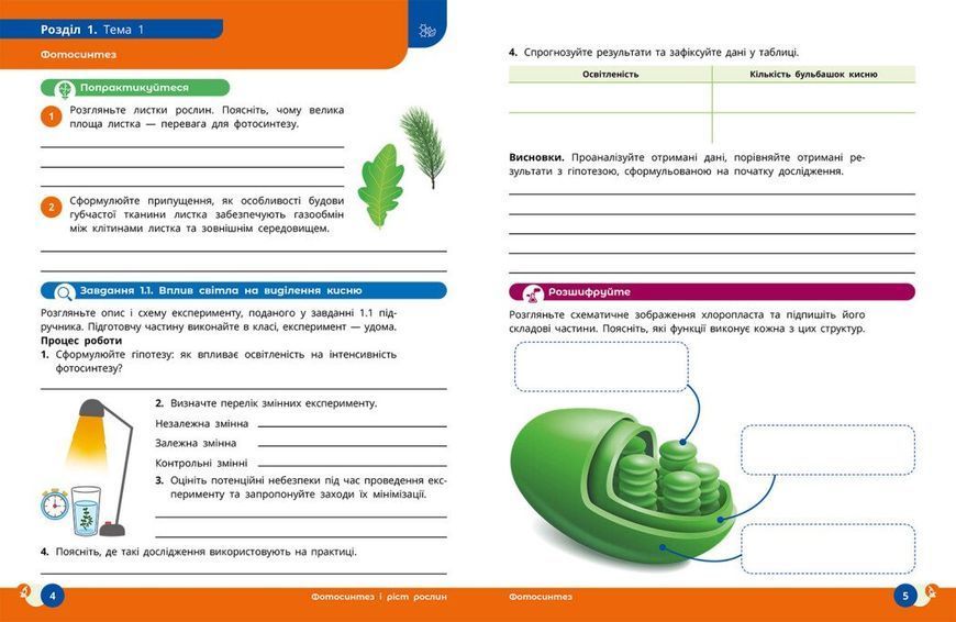 Природничі науки 9 клас Робочий зошит (до підр. Мандренко Ю.І. та ін.) НУШ (Мандренко Ю.І.) y10250 фото