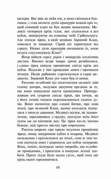 Коти-вояки. Здіймається буря y07415 фото