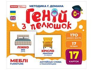 Геній з пелюшок. Меблі, демонстраційний матеріал y07652 фото