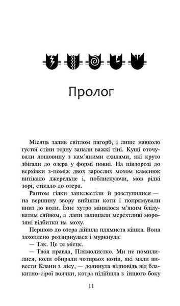 Коти-вояки. Нове пророцтво. Книга 4. Стожари y07425 фото