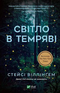 Світло в темряві (Стейсі Віллінґем) v00184 фото