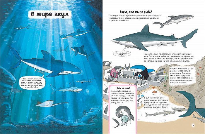 Муту Франсуа, Мабир Грегуар "Акулы. О чем говорят животные" y07293 фото