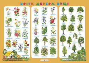 Квіти, дерева, кущі. Плакат y03167 фото