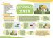 Мої перші малюнки. Альбом для дітей. 3-4 роки y07910 фото 7