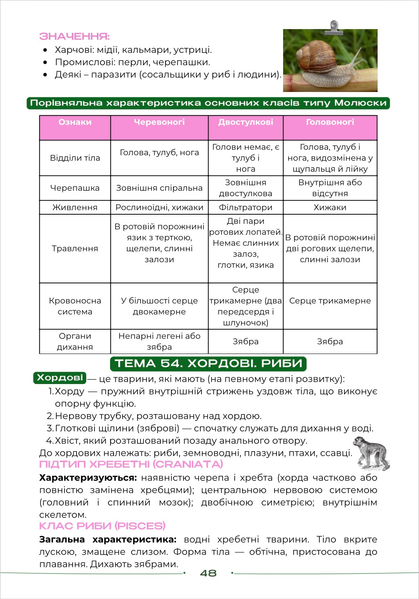 Конспект з біології для підготовки до НМТ/ЗНО/ДПА y10288 фото