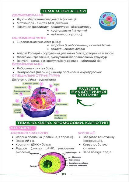 Конспект з біології для підготовки до НМТ/ЗНО/ДПА y10288 фото