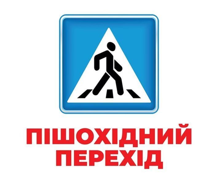 Геній з пелюшок. Дорожні знаки. Демонстраційний матеріал y07239 фото